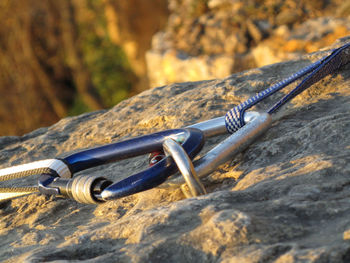 Close-up of rope on rock