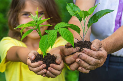 Close-up of hand holding plant