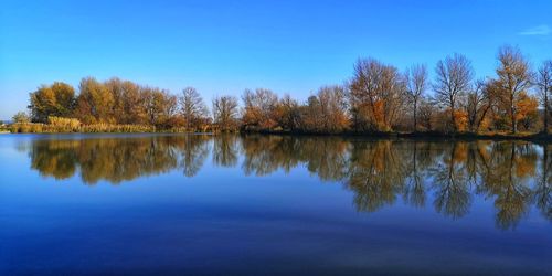 Reflection of trees in lake against blue sky