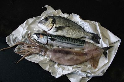 High angle view of fish on black background