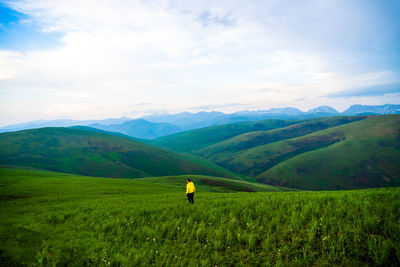 Scenic view of agricultural field against sky