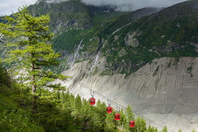 Scenic view of trees and mountains