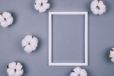 Directly above shot of white flowers on table