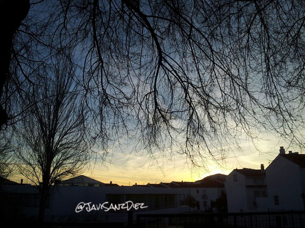 tree, bare tree, building exterior, built structure, sky, architecture, text, sunset, branch, silhouette, low angle view, communication, western script, nature, outdoors, dusk, house, no people, scenics, beauty in nature