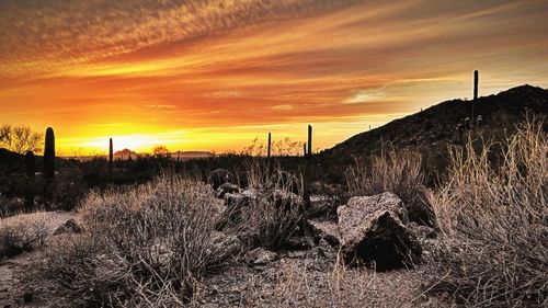 Scenic view of field against sky during sunset