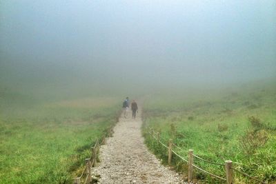 View of grassy field in foggy weather