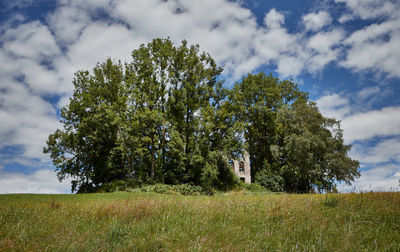 Trees on field against sky