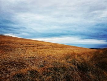 Scenic view of field against sky