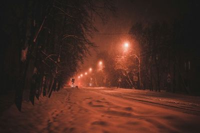 Street amidst trees during winter at night