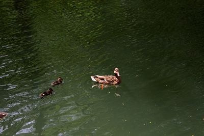 Woman in water