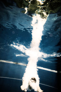 Swimming pool in sea