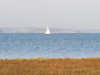 Sailboat sailing on sea against sky