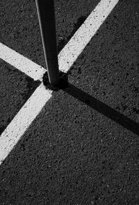 High angle view of zebra crossing on road