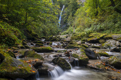 Scenic view of waterfall in forest