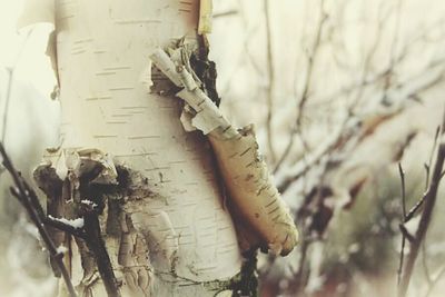 Close-up of damaged wall