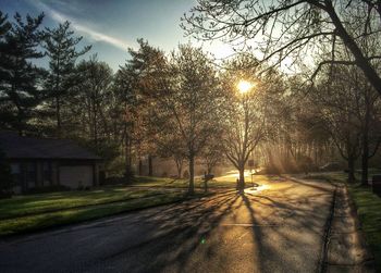 Road passing through bare trees