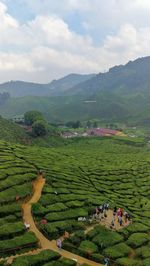 High angle view of agricultural field against sky