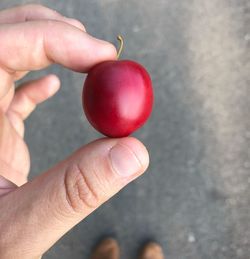 Midsection of person holding apple