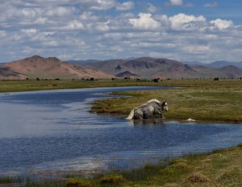 Scenic view of lake and mountains against sky