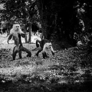 Group of people on land in forest