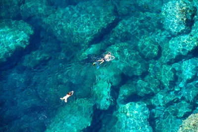 High angle view of people swimming in sea