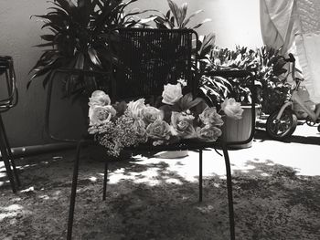 View of flower bouquet