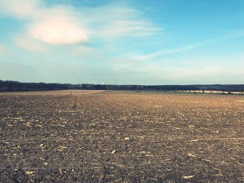 Scenic view of field against sky