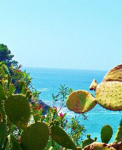 Scenic view of sea against clear sky