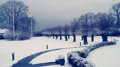 Snow covered landscape