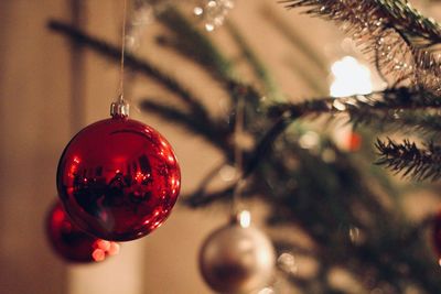 Close-up of christmas decoration hanging on tree