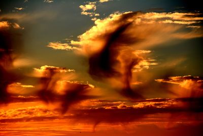 Silhouette tree against sky during sunset