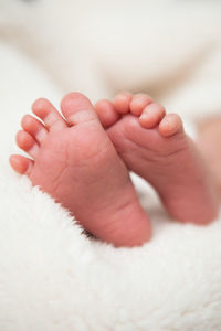 Close-up of baby hand