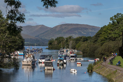 Sailboats moored in bay