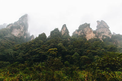 Scenic view of trees and mountains against sky