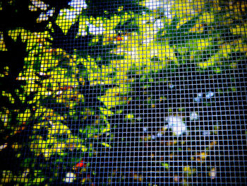 Full frame shot of tiled floor