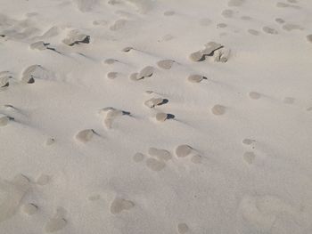 Close-up of footprints on sand at beach