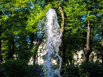 Low angle view of waterfall in forest