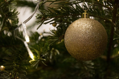 Close-up of christmas tree