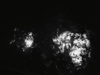 Low angle view of silhouette trees against sky at night