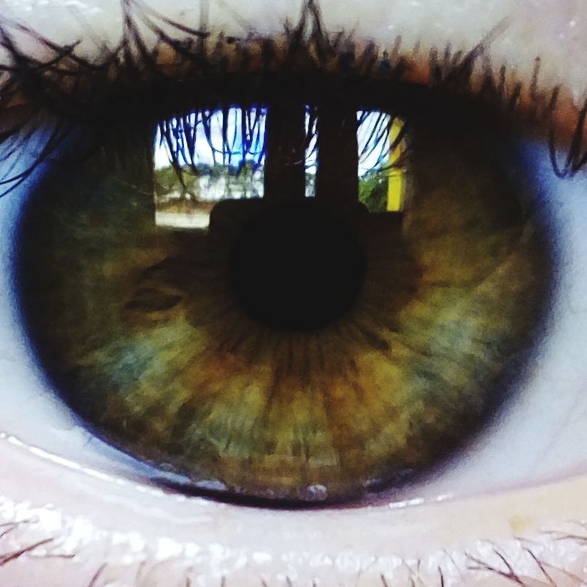 CLOSE-UP OF HUMAN FACE