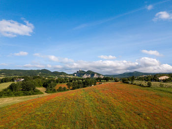 Scenic view of field against sky