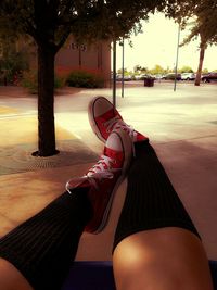 Low section of woman standing on tree trunk