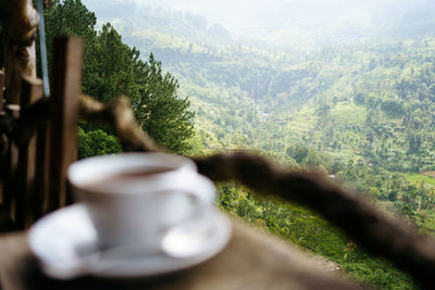 Cup of ceylon tea with view on green hills with tea plantations in sri lanka, asia