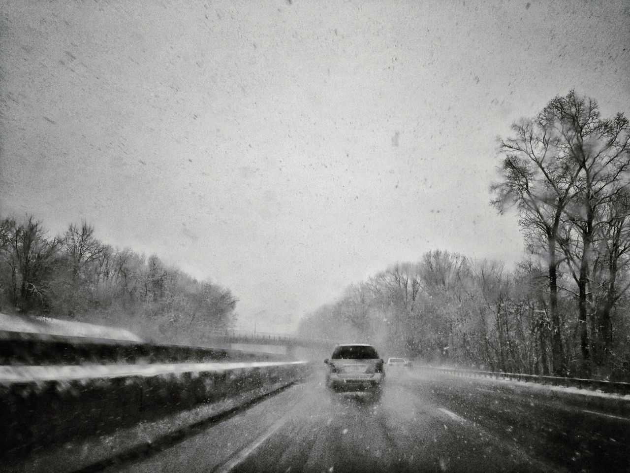 transportation, road, winter, snow, weather, land vehicle, tree, mode of transport, cold temperature, season, the way forward, car, street, on the move, fog, country road, nature, travel, diminishing perspective