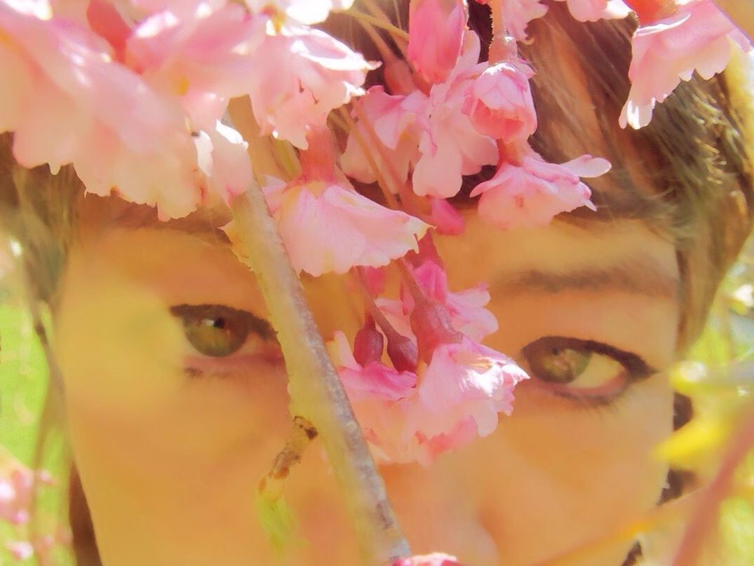 close-up, pink color, flower, freshness, headshot, portrait, indoors, looking at camera, petal, full frame, fragility, person, day, human face, focus on foreground, red, front view, multi colored