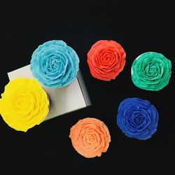 Close-up of multi colored flowers against black background