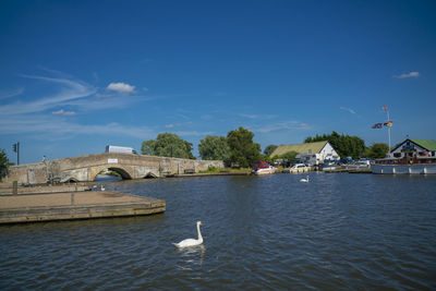 Seagull on a lake