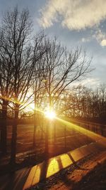 Bare trees on landscape against sunset sky