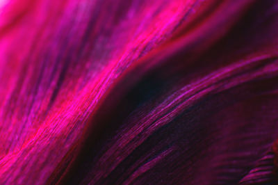 Floral background as a design element. background of folds of delicate petals of red-violet color