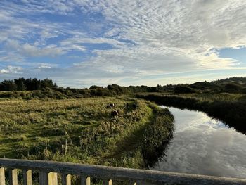 nature